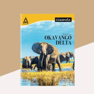 2_a3ba23db-e75d-45d5-b033-ac987eff7dfc