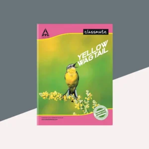 9_e4903204-16da-4d45-bab3-61b039fc3214